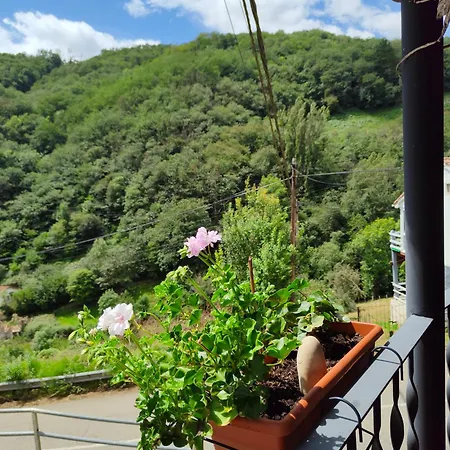 Hotel Dona Gaudiosa 2*